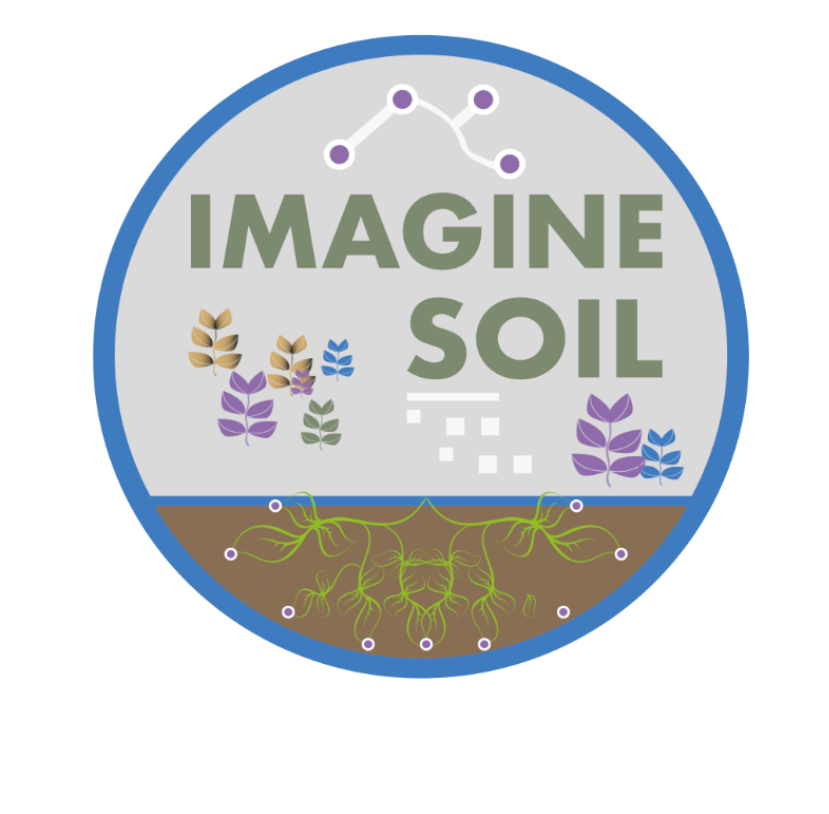 IMAGINE-SOIL project logo