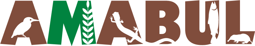 Amabul