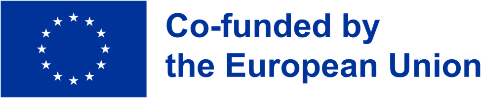 Co-funded by the European Union